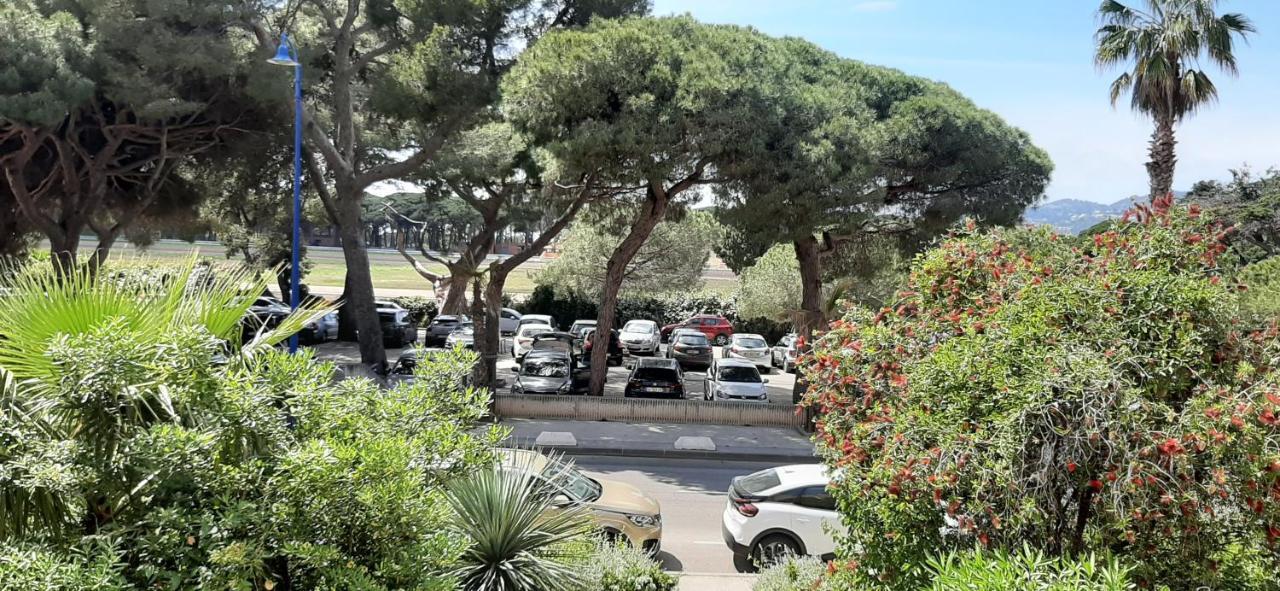 Les Iles D'Or Au Port De Hyeres Grand Studio Climatise Bagian luar foto