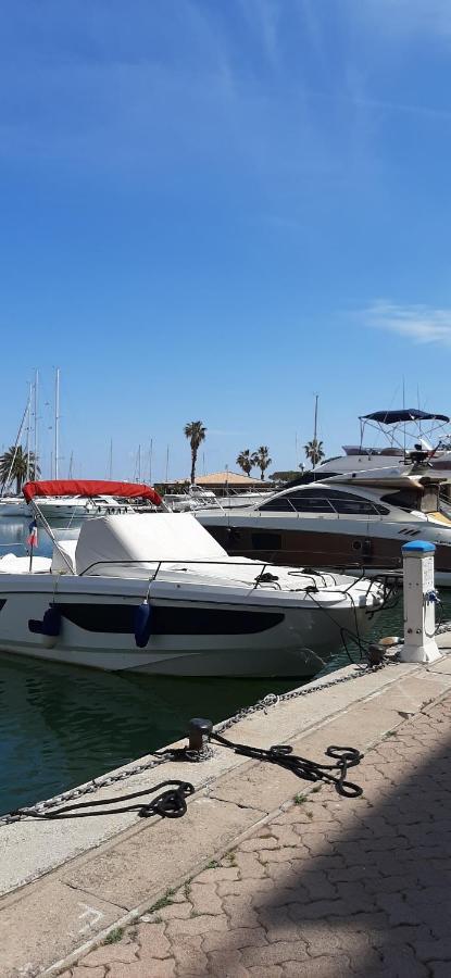 Les Iles D'Or Au Port De Hyeres Grand Studio Climatise Bagian luar foto